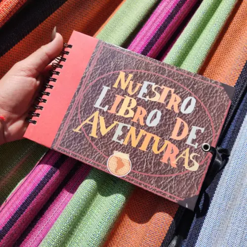 Álbum «Up» Libro de Aventuras — imagen 1