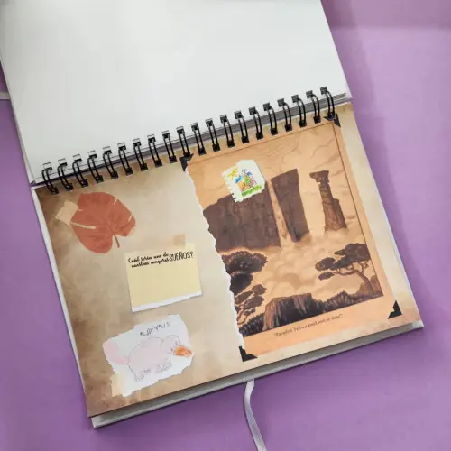 Álbum «Up» Libro de Aventuras — imagen 5