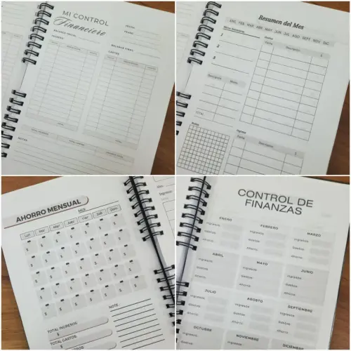 Control Financiero — imagen 6