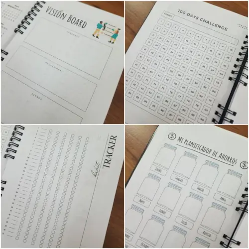 Control Financiero — imagen 4