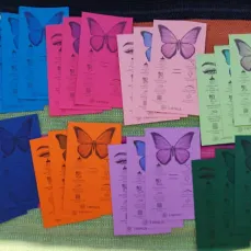 Pack de 100 Tarjetas Lashista — imagen 4