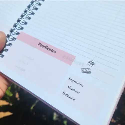 Agenda de turnos Modelo 9 — imagen 5