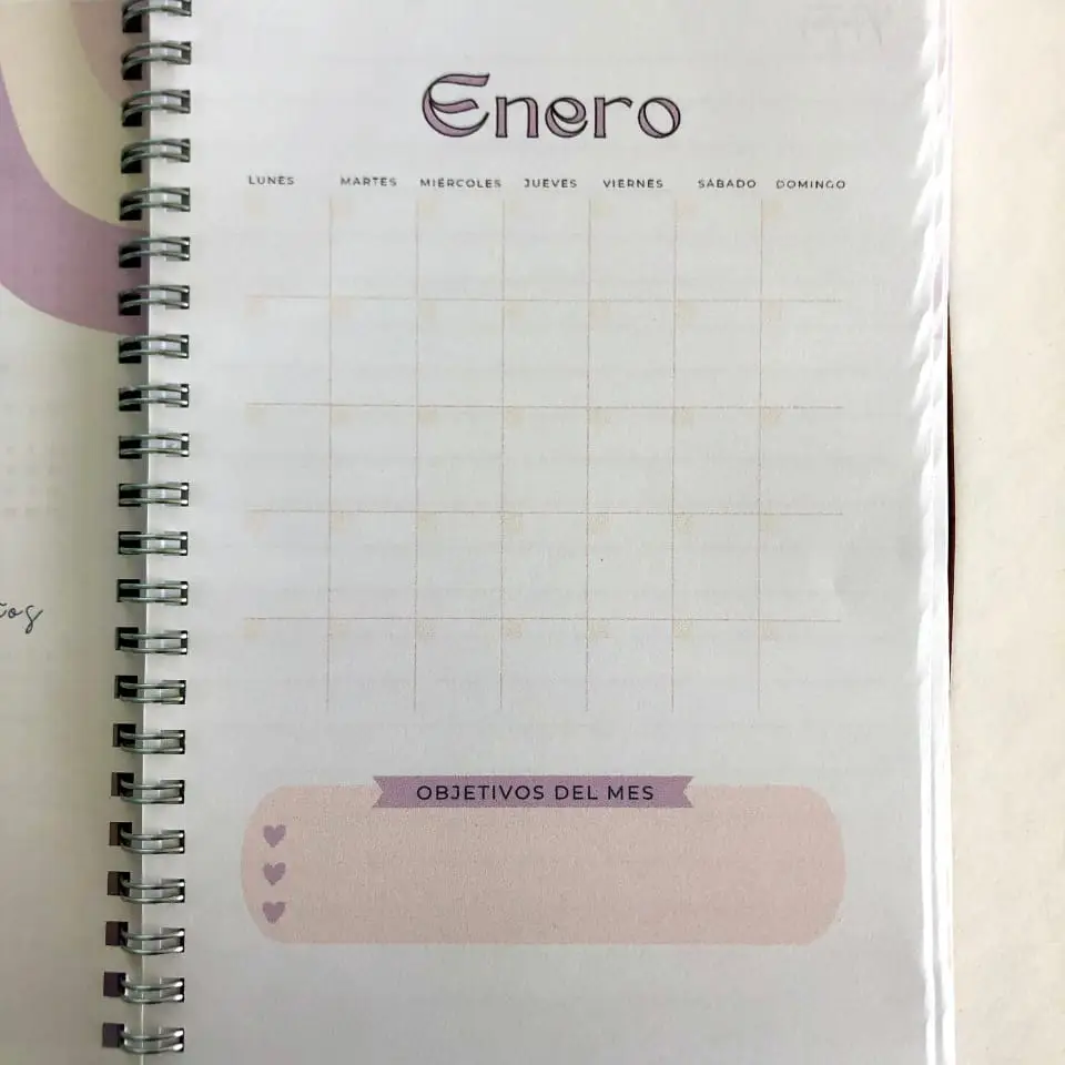 Diario Perpetuo 4 — imagen 4