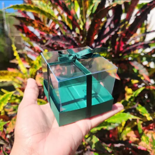 Cajas transparentes — imagen 1