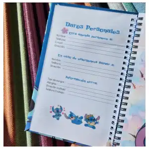 Cuaderno Stitch miniatura 5