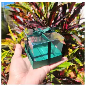 Cajas transparentes miniatura 1